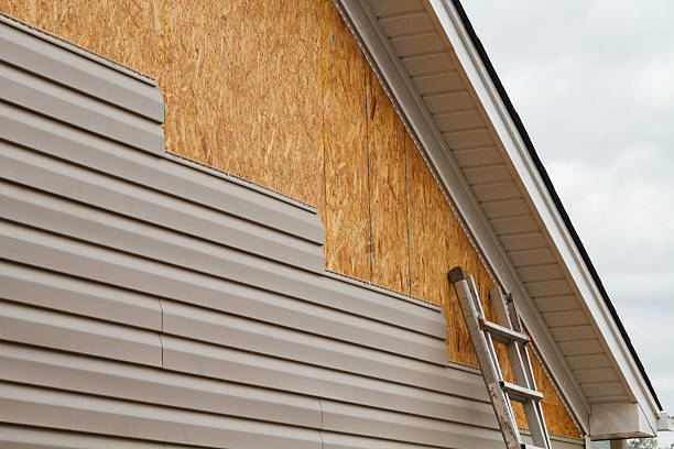 Professional Vinyl Siding technician working in Plano, KY